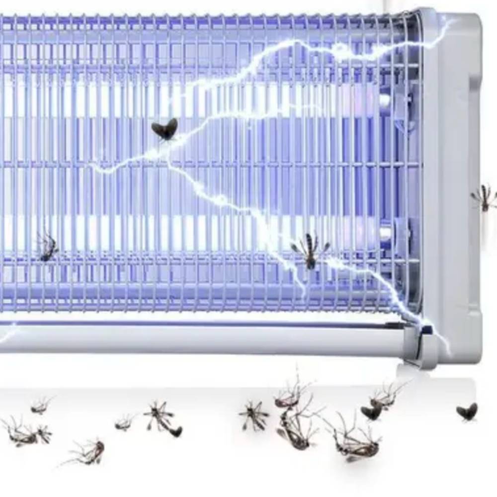 Bug and mosquito zapper